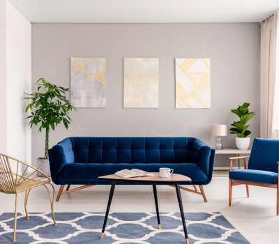 Coffee table with open book and tea mug standing on carpet in real photo of bright sitting room interior with fresh plants, gold chair and navy blue lounge
